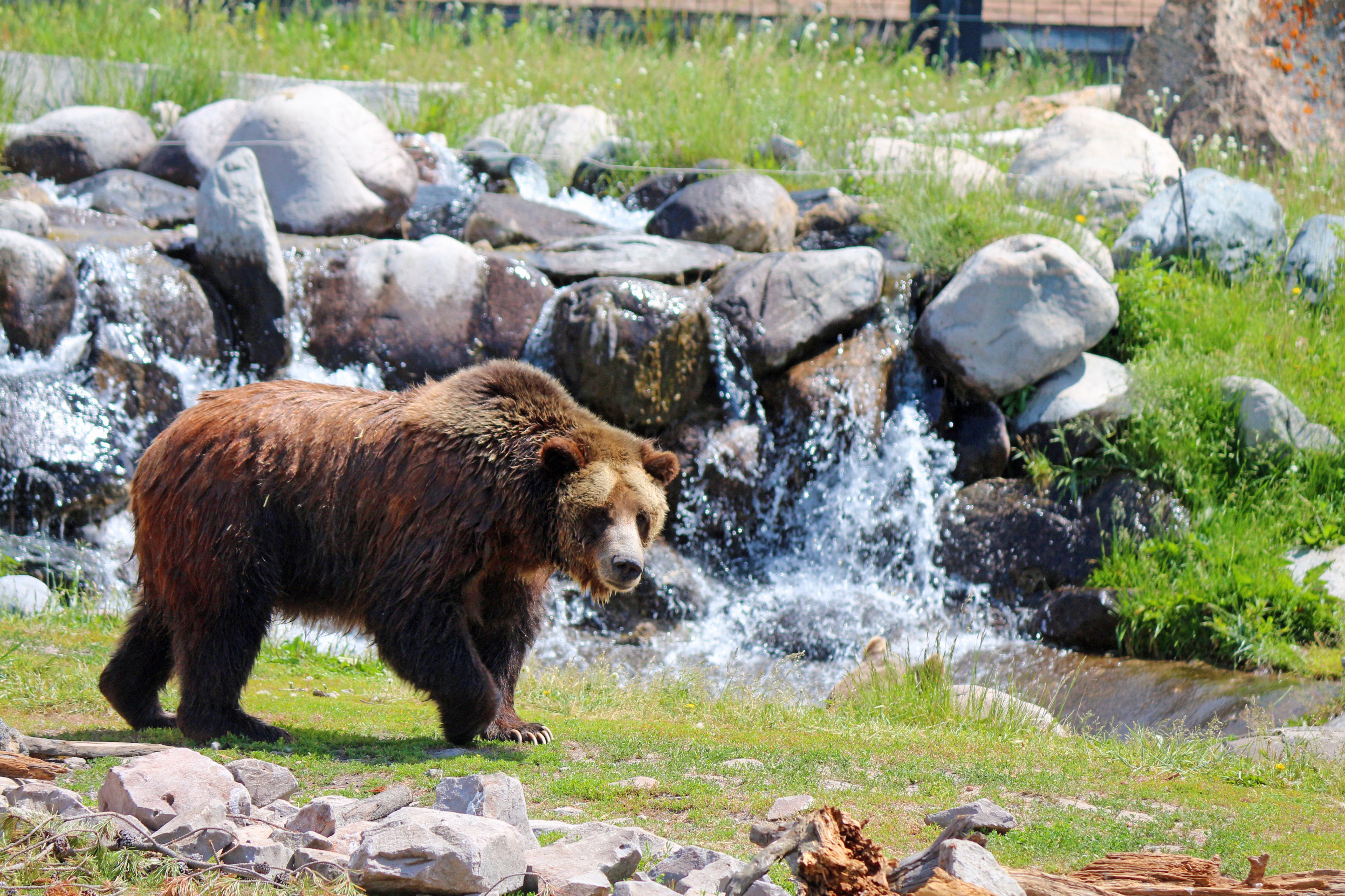 Holiday Inn West Yellowstone By Ihg Bagian luar foto