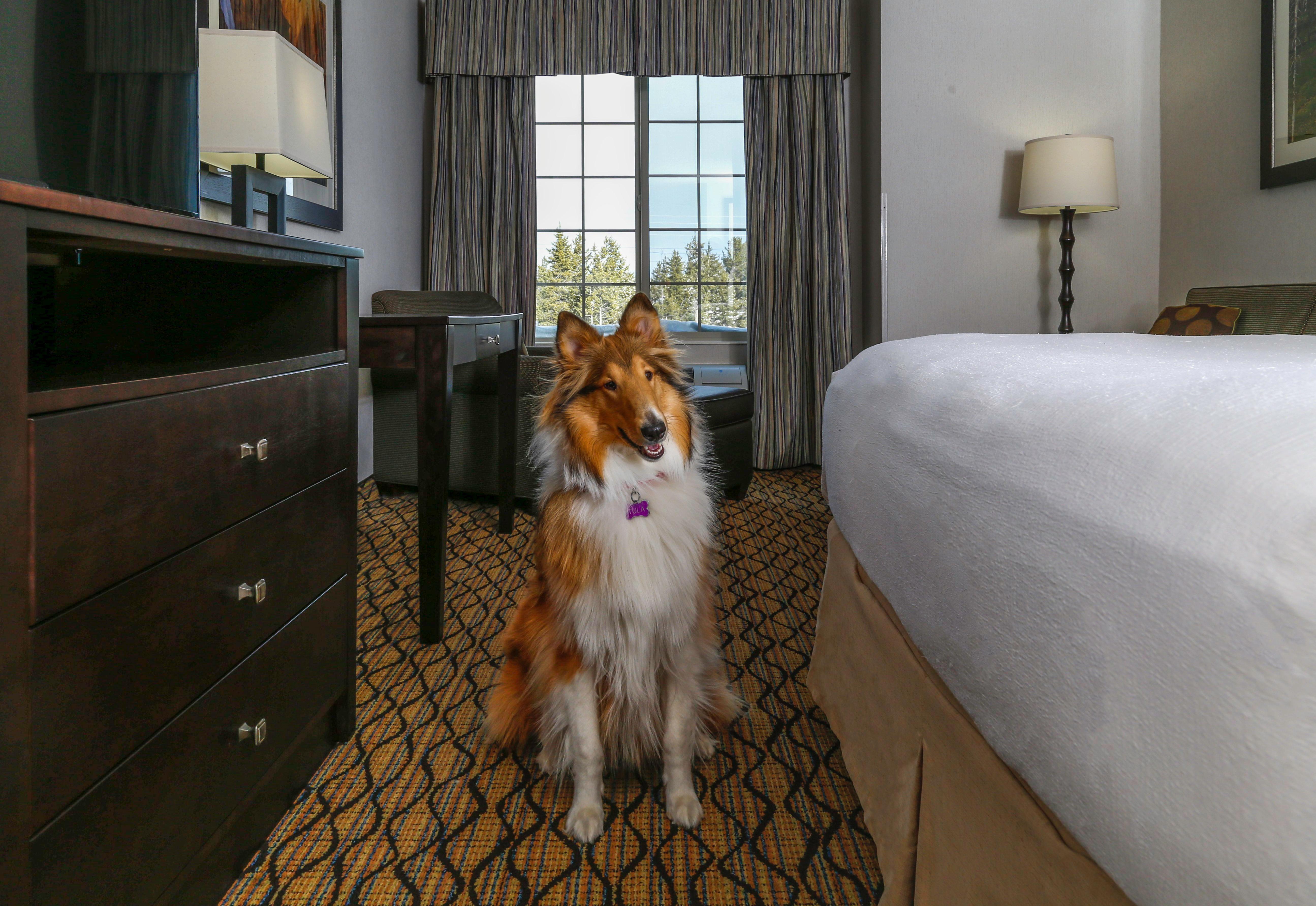 Holiday Inn West Yellowstone By Ihg Bagian luar foto